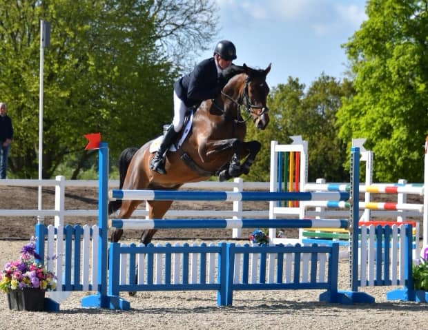 Showjumping Horses For Sale UK